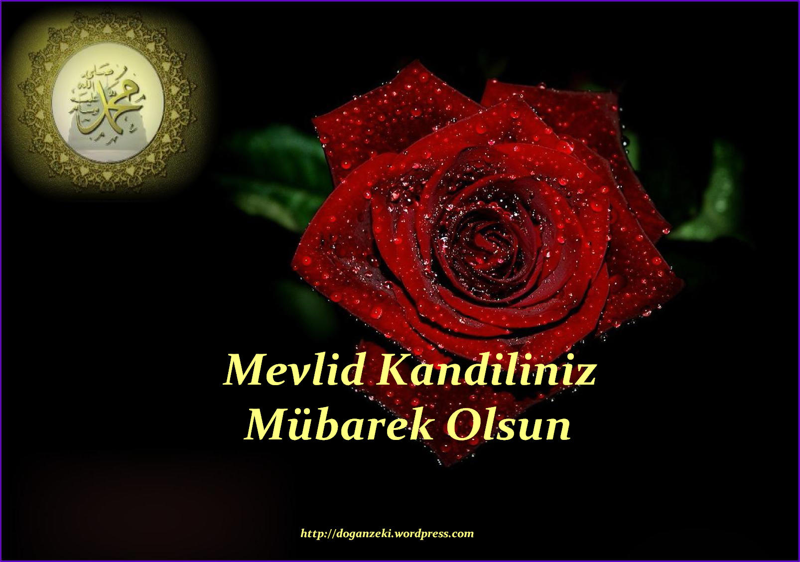 BUGÜN MEVLİD KANDİLİ