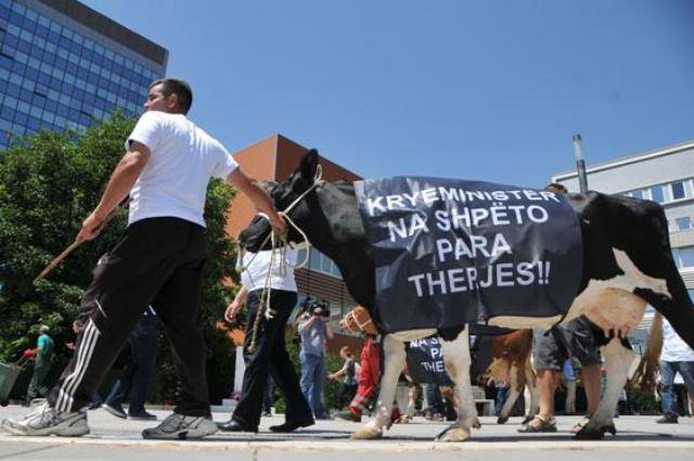 SÜT ÜRETİCİLERİNDEN İNEKLİ PROTESTO