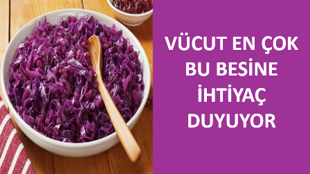 İNSAN VÜCUDUNUN EN ÇOK İHTİYAÇ DUYDUĞU BESİNLER