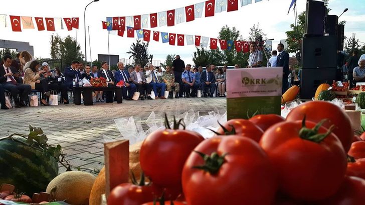 MUMAŞA’DA GELENEKSEL DOMATES FESTİVALİ DÜZENLENDİ