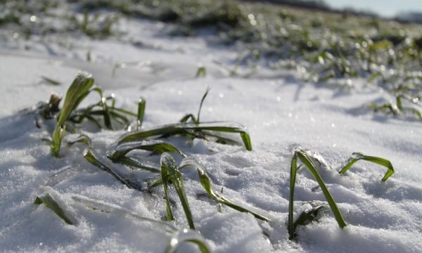 YENİ HAFTADA HAVA BOZUYOR