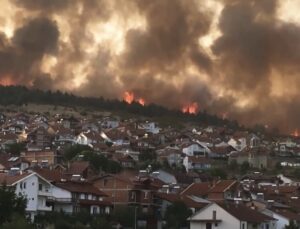 KUZEY MAKEDONYA’DA ORMAN YANGINI