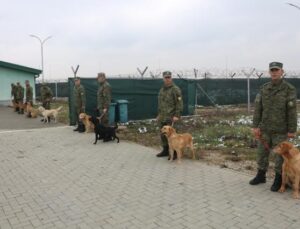 TÜRKİYE, KOSOVA’YA ARAMA-KURTARMA ÇALIŞMALARI İÇİN K9 KÖPEKLERİ BAĞIŞLADI