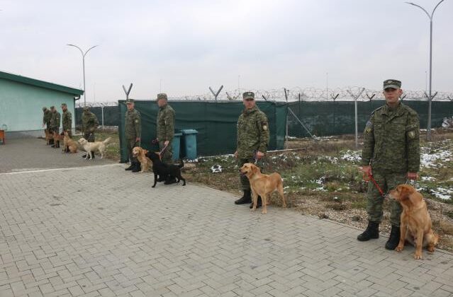 TÜRKİYE, KOSOVA’YA ARAMA-KURTARMA ÇALIŞMALARI İÇİN K9 KÖPEKLERİ BAĞIŞLADI