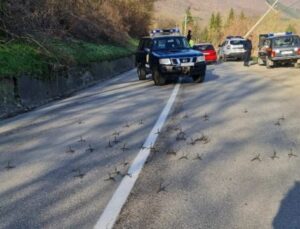 CUMHURBAŞKANLIĞIN, KUZEYDE KOSOVA POLİSİNE YÖNELİK SALDIRILARA TEPKİSİ