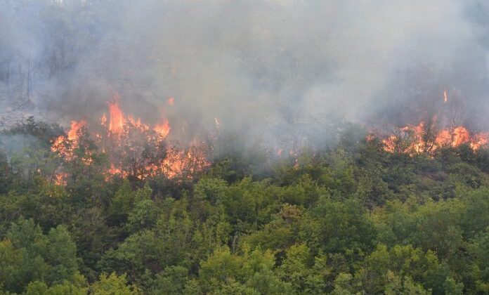 KUZEY MAKEDONYA’DA 43 YANGINDAN 9’U AKTİF