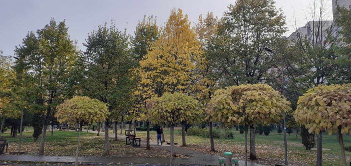 GÜNEŞLİ HAVALARA DEVAM