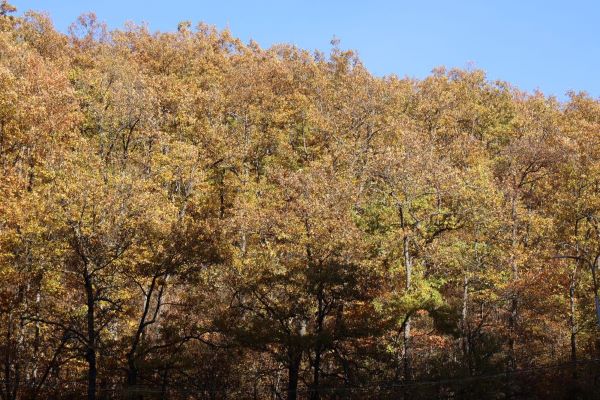 KOSOVA’DA HAVA BUGÜN